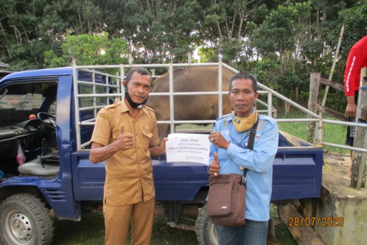 Adaro Logistics donates sacrificial animals