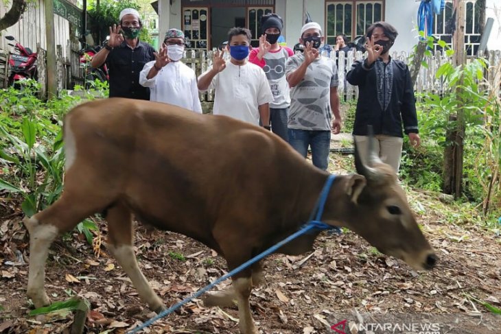 Indocement serahkan sapi untuk kurban kepada awak jurnalis
