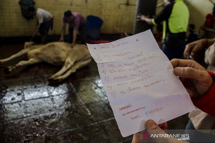 Kurban di rumah potong hewan Bandung 