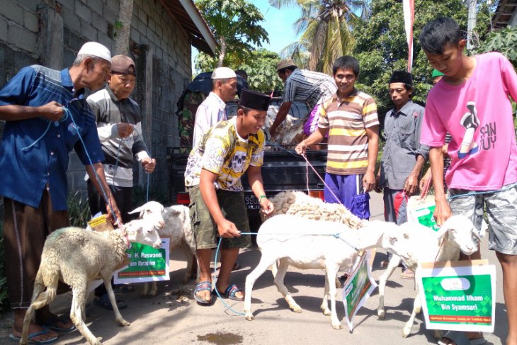 Warga Situbondo serahkan hewan kurban ke yayasan untuk penyembelihannya