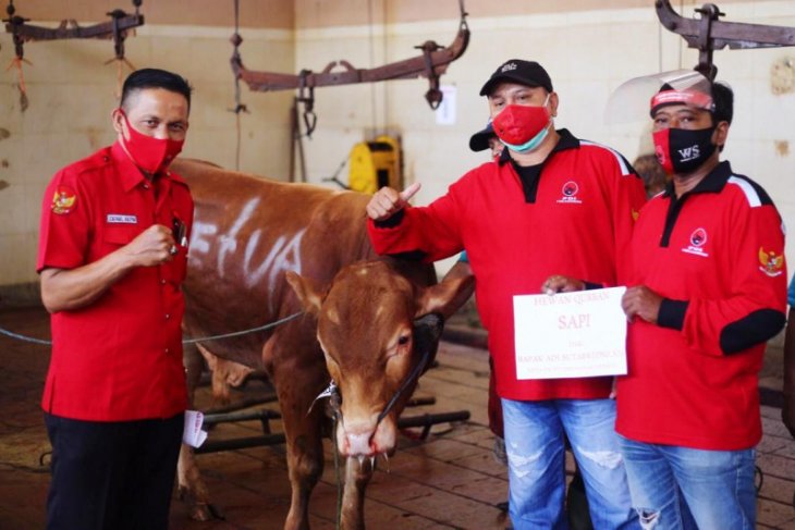 PDIP Surabaya distribusikan daging kurban dari rumah ke rumah