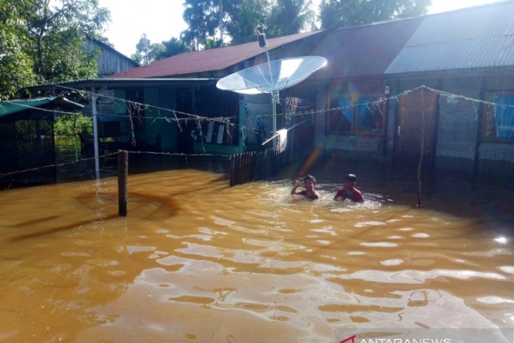 Ratusan warga di Aceh Barat masih terdampak banjir setinggi satu meter