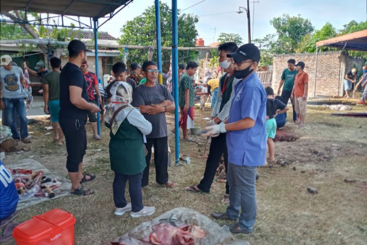 Distan Provinsi Banten pastikan pemotongan hewan kurban taat protokol kesehatan