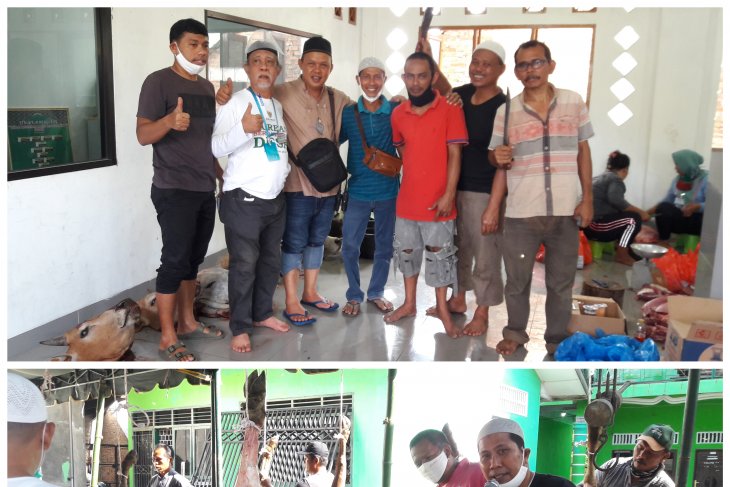 Jamaah Masjid Baiturrahim Sei Blengking Stabat sembelih 10 ekor lembu