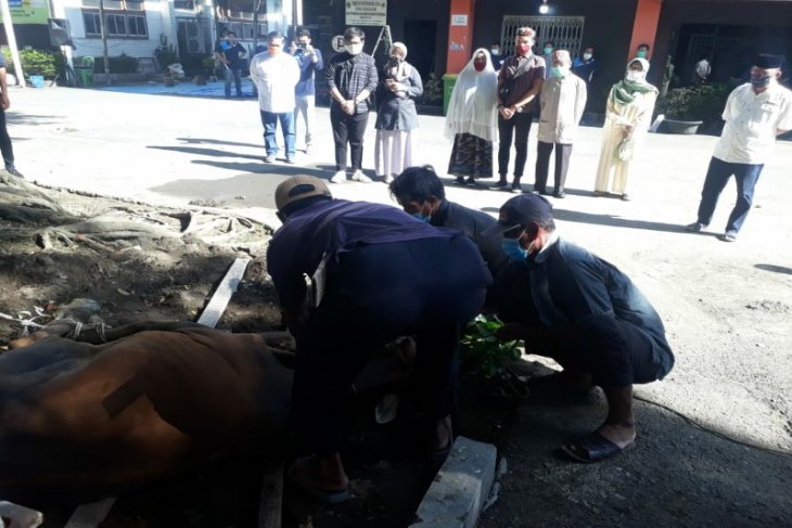 Dinkes Sumut sembelih 10 hewan kurban dengan protokol kesehatan yang ketat