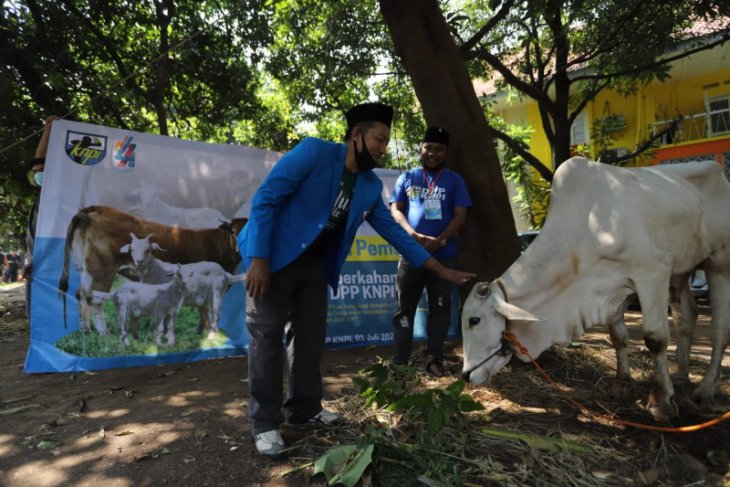DPP KNPI: Idul Adha momentum bagi pemuda buktikan kepekaan sosial