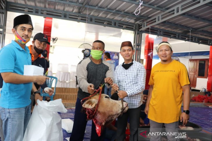 Pemkab Bangka sembelih 29 ekor sapi kurban