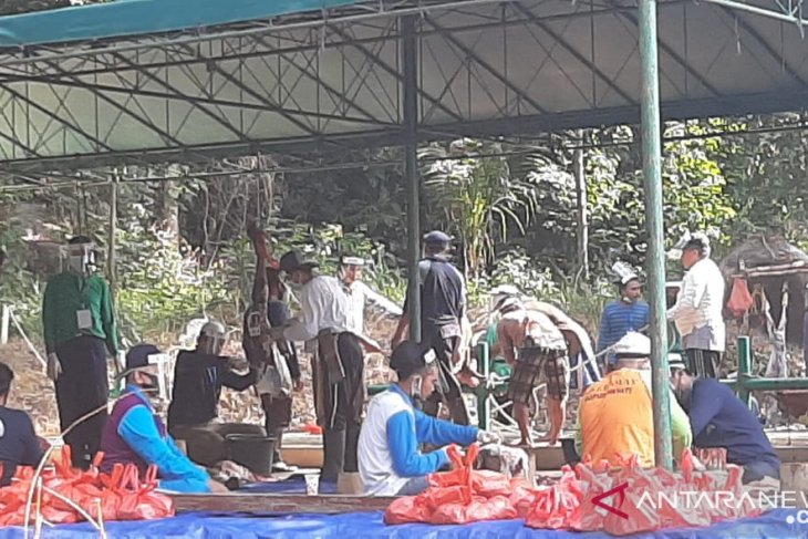Pemotongan hewan kurban di Masjid Agung Sungailiat taati protokol sehat