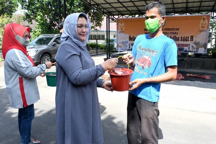 Dharma Wanita Persatuan Sumut sembelih dua sapi kurban