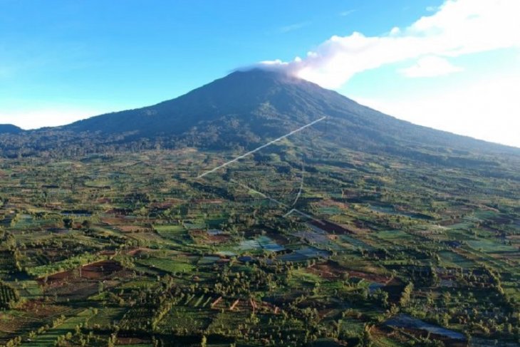 Laju deporestasi hutan dan lahan