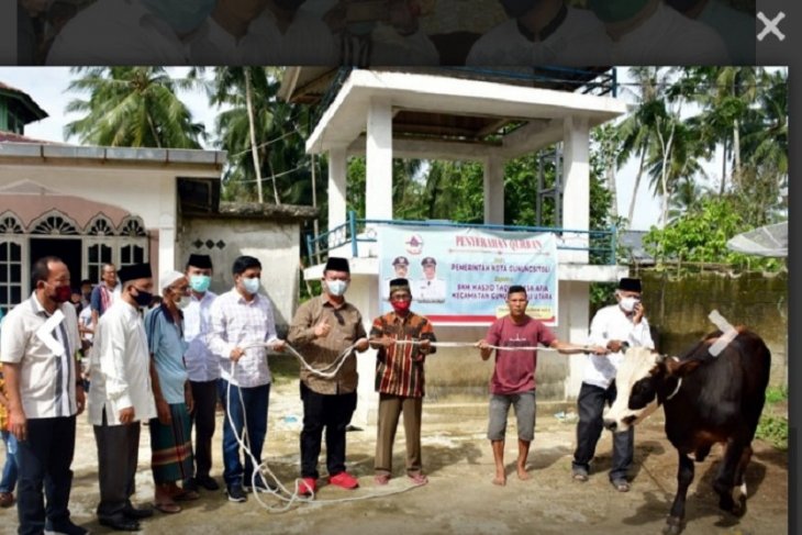 Pemkot Gunungsitoli Sumut sumbang empat ekor sapi kurban