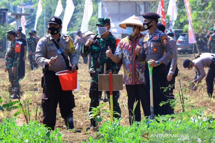 Wali Kota Tangerang apresiasi TNI-Polri lakukan program ketahanan pangan