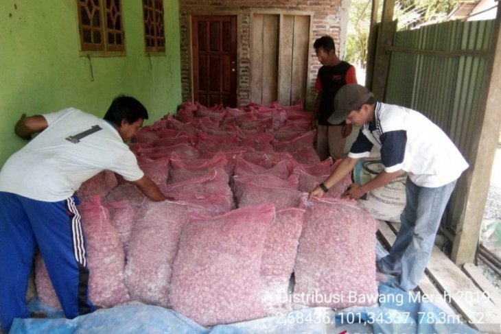 Petani di Mukomuko akan kembangkan bawang merah