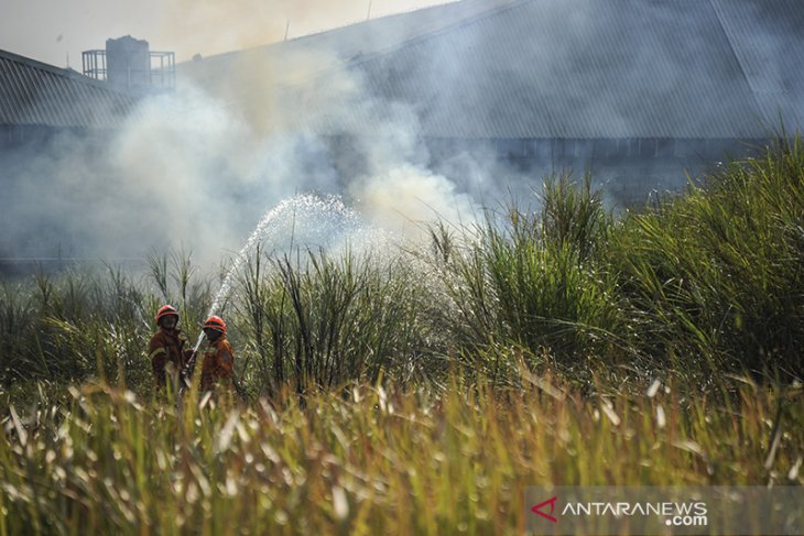 Kebakaran lahan akibat musim kemarau 