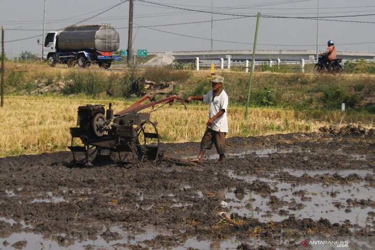 Alih fungsi lahan di kawasan lumbung padi