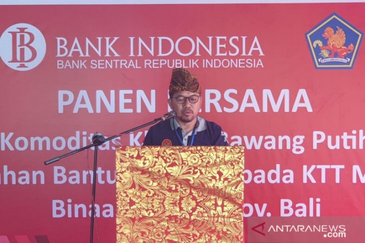 BI Bali naikkan produktivitas bawang putih lewat pendampingan KTT Manik Pertiwi