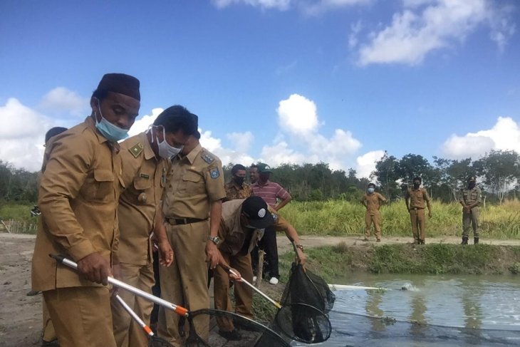 Pemkab Bangka Tengah dorong budi daya ikan terpadu