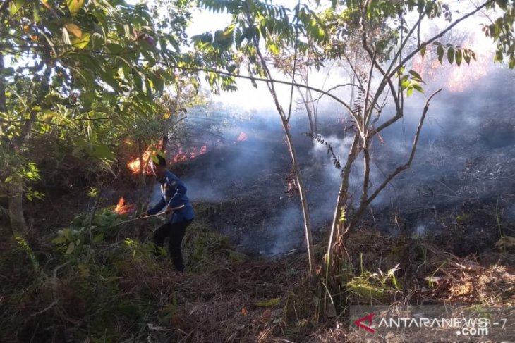 Empat hektare lahan gambut hangus terbakar di Aceh Selatan