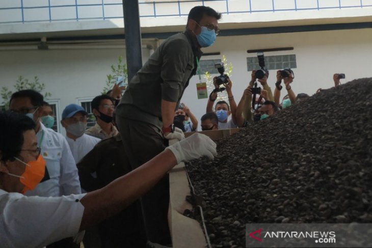 Bangka Belitung bangun pabrik tandan kering sawit