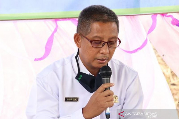 Guruh : Dua mitra penggiat pertanian terpilih, salah satunya Poktan Harakat