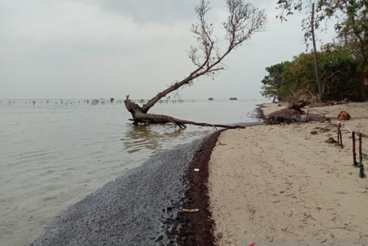 Walhi desak pengambil kebijakan tangani limbah minyak di Pulau Pari. Kepulauan Seribu