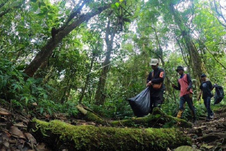 Memungut sampah di Gunung Kerinci peringati Hari Konservasi Alam Nasional 2020