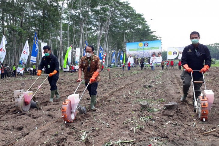 Mentan Syahrul Yasin Limpo semangati petani dan tanam jagung di Blitar