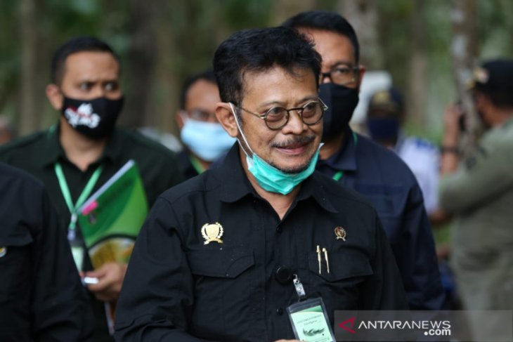 Mentan jadikan HUT ke-75 RI momen membangkitkan korporasi tanaman pangan
