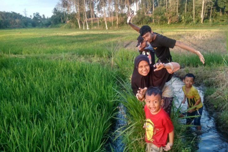 Sawah alternatif wisata menarik masyarakat Bandarlampung