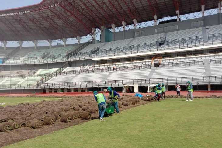 Pengupasan rumput lama Stadion GBT Surabaya hampir rampung