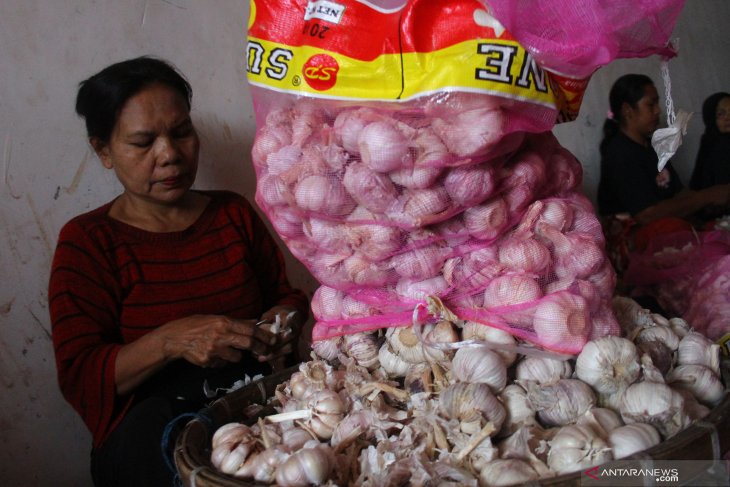 Kebutuhan Bawang Putih Nasional