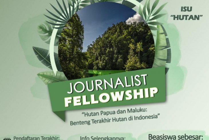 Yayasan EcoNusa luncurkan program bantuan liputan isu hutan Papua