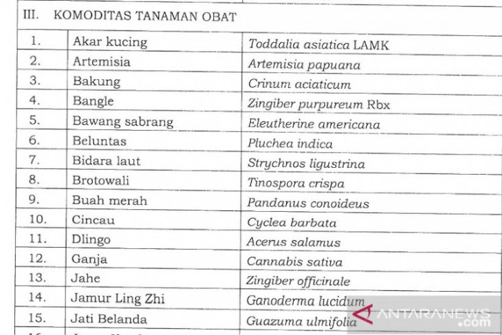 Mentan tetapkan ganja komoditas tanaman obat binaan