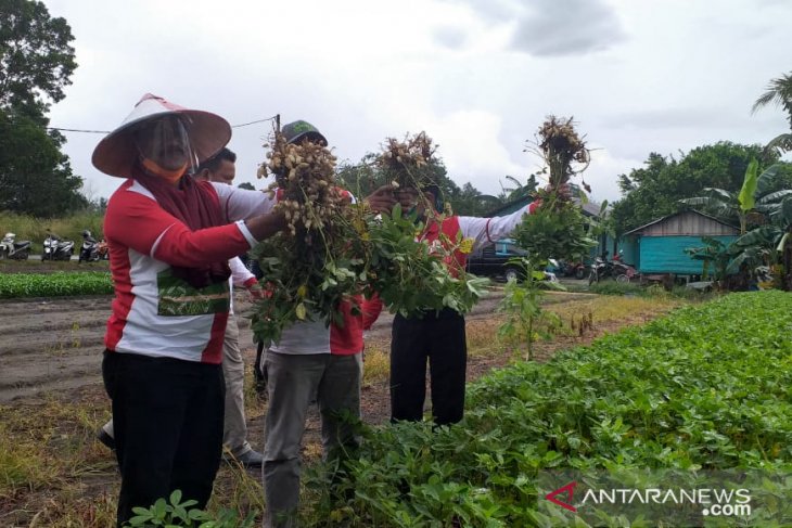 Bupati Belitung ajak petni wujudkan kemandirian pangan