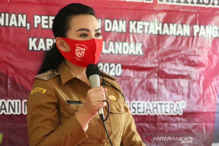 Karolin minta CU bantu pembiayaan pupuk bagi petani