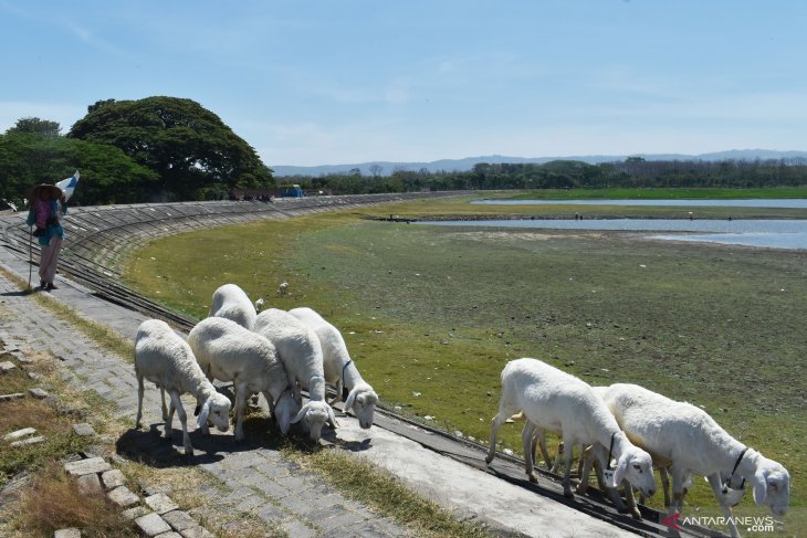 Air Waduk Notopuro Madiun Menyusut