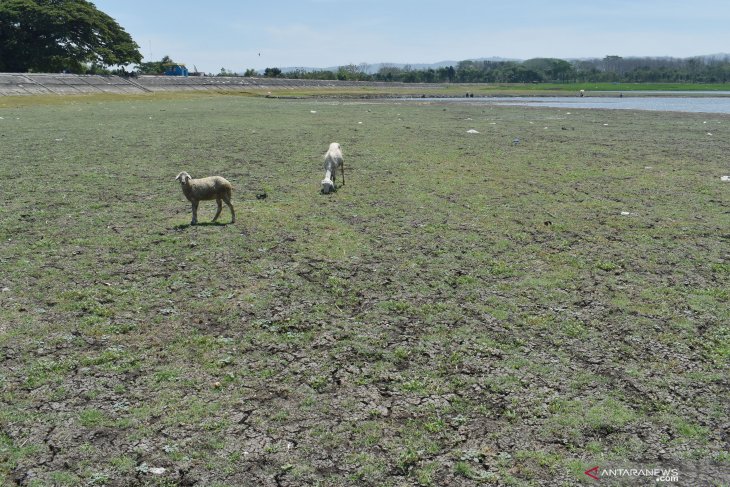 Air Waduk Notopuro Madiun Menyusut