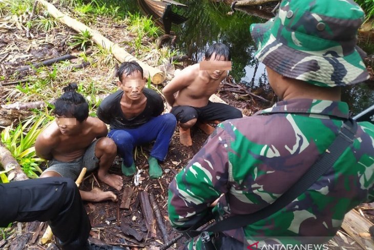 Tim gabungan tangkap tiga pelaku illegal logging dilahan konservasi di Muarojambi