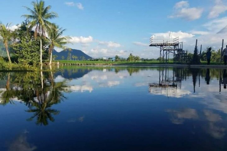 Take a peek at the green Kampung Jawa of Jaro Village