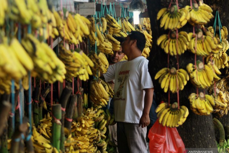 Pisang salah satu obat alami mengatasi diare