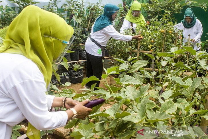 Desa ketahanan pangan mandiri 