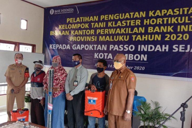 BI Produktivitas petani Maluku butuh dukungan provinsi lain