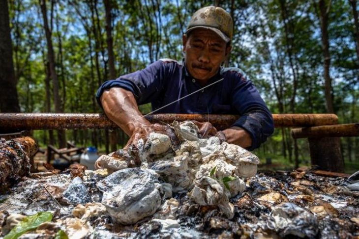 Industri pengolahan karet