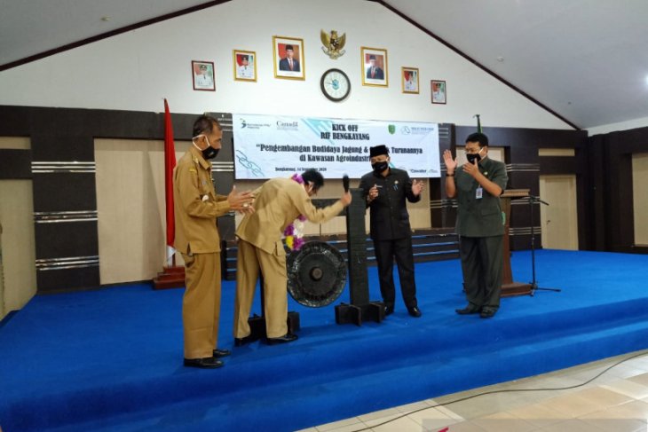 Kanada dan Bappenas dampingi pengembangan jagung di Bengkayang