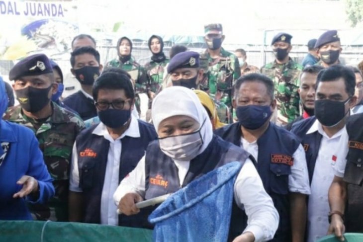 Ekspor udang Jawa Timur meningkat saat pandemi