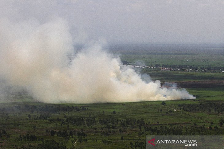 Kebakaran Hutan dan Lahan di Kalsel