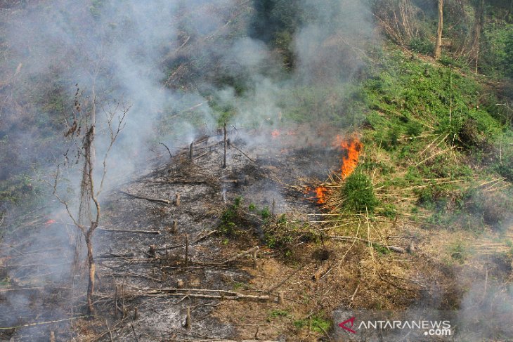 Kebakaran Hutan dan Lahan di Kalsel