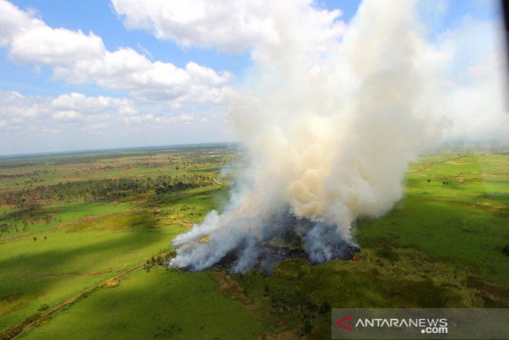 Kebakaran Hutan dan Lahan di Kalsel