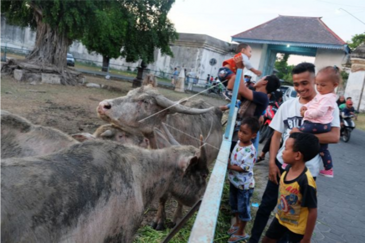 Mengabaikan protokol kesehatan