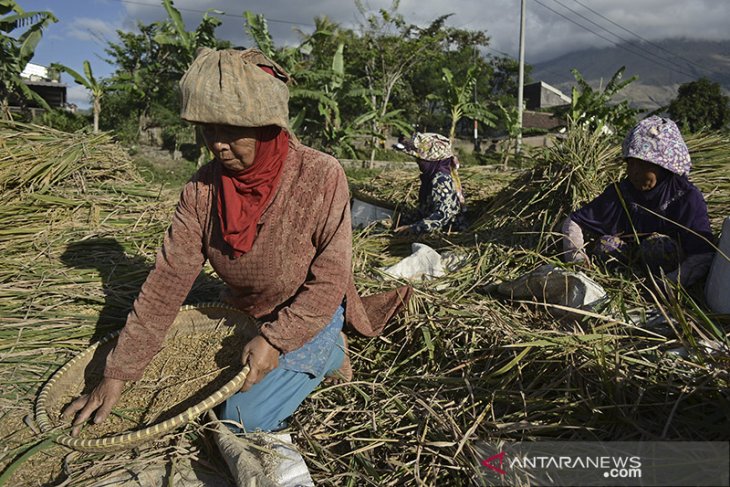 Upah nominal buruh tani naik 